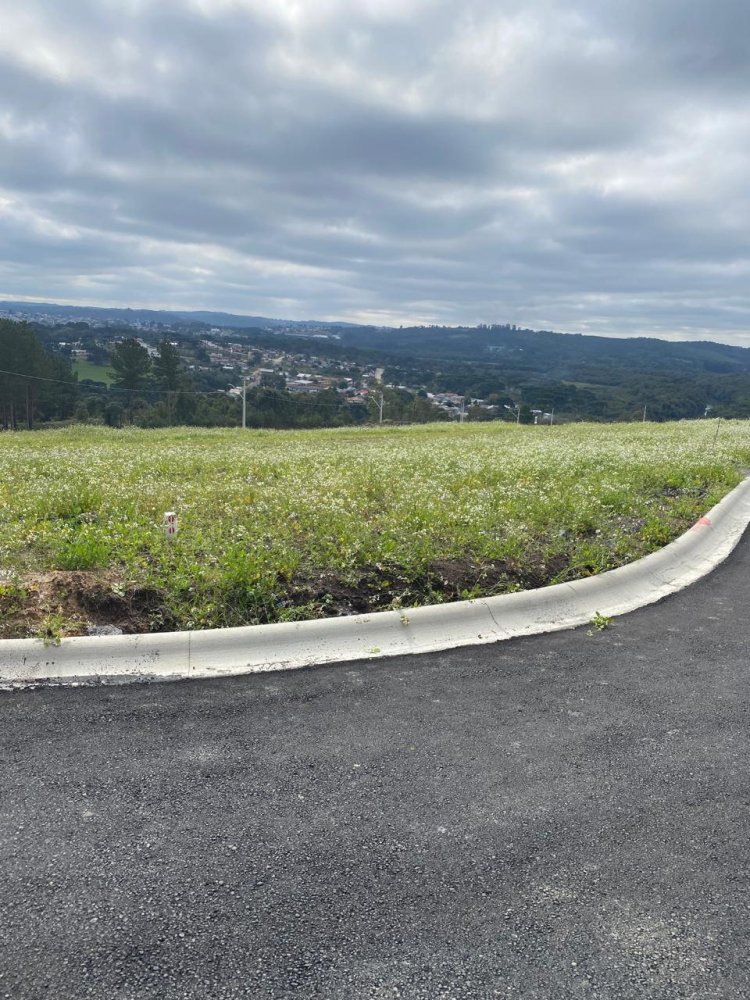 Terreno - Venda - Jardim Amrica - Mafra Sc - SC